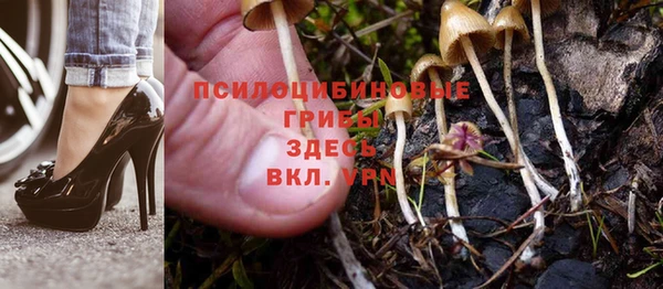 ГАЛЛЮЦИНОГЕННЫЕ ГРИБЫ Покров