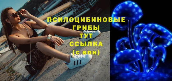 ГАЛЛЮЦИНОГЕННЫЕ ГРИБЫ Покров