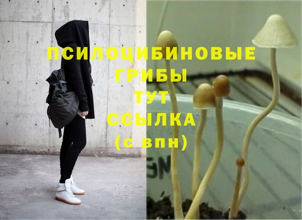 ГАЛЛЮЦИНОГЕННЫЕ ГРИБЫ Покров