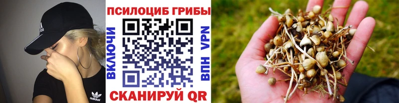 Псилоцибиновые грибы ЛСД  где можно купить   Чекалин 